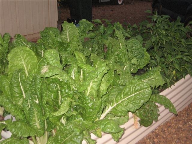 TODAY IS THE DAY 006 (Small).JPG