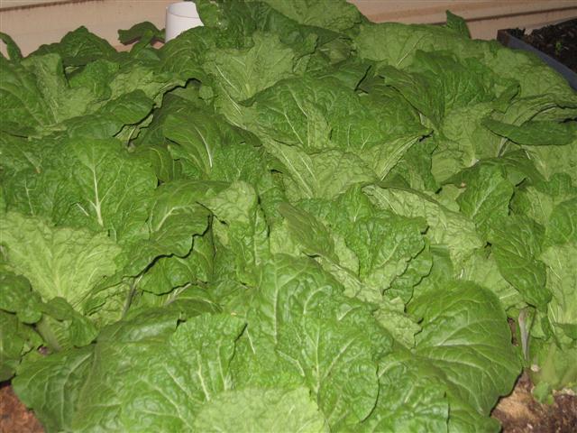 TODAY IS THE DAY 009 (Small).JPG