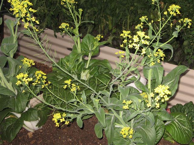 TODAY IS THE DAY 008 (Small).JPG