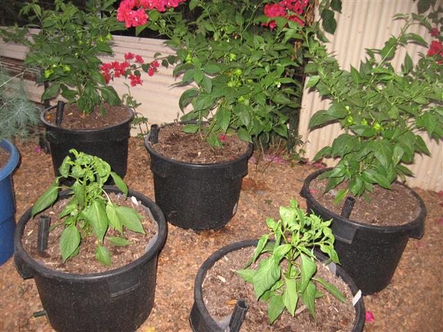 TODAY IS THE DAY 004 (Small).JPG