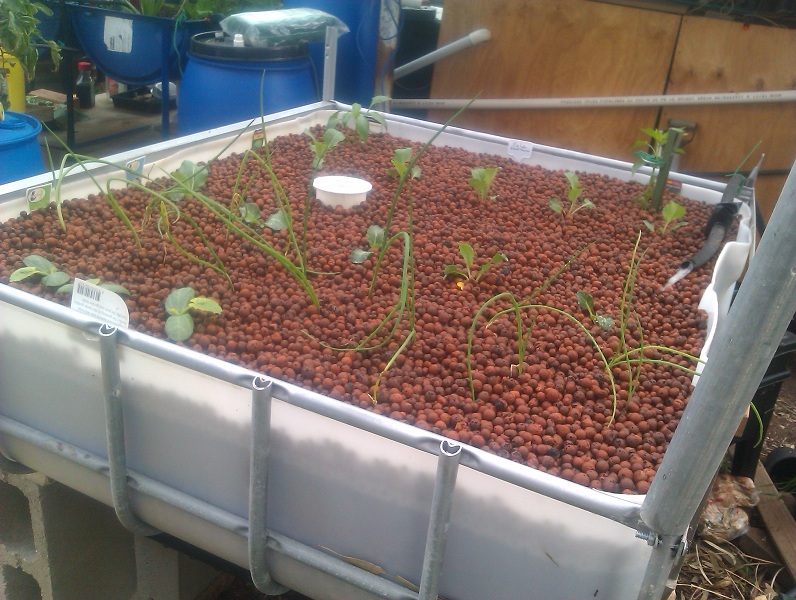 2012-08-26 10.09.50s.jpg