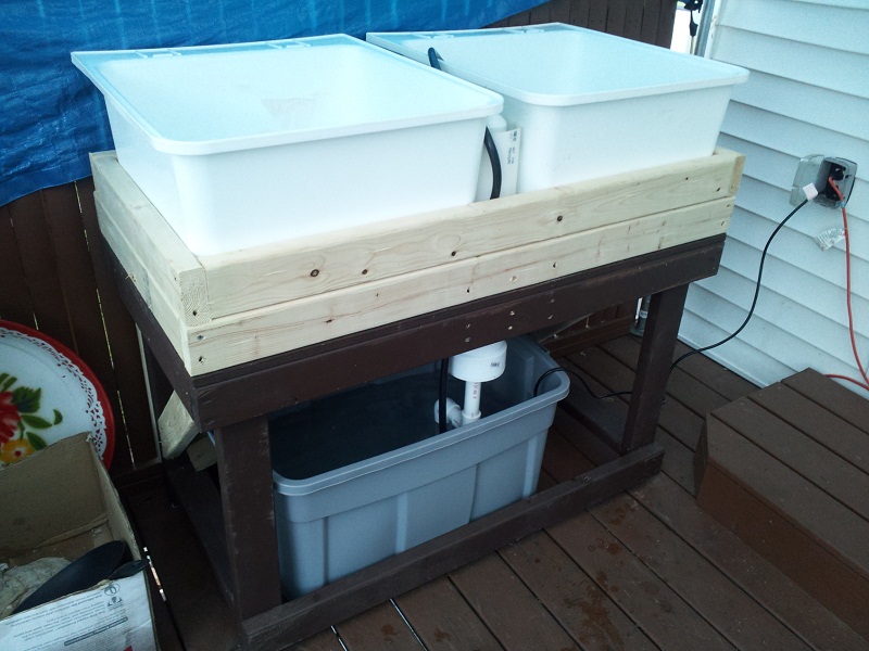 2012-08-25 19.04.41.jpg