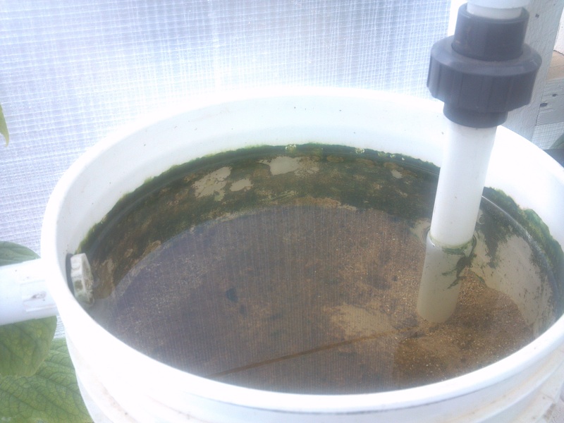 NFT Filter Bucket Top.jpg