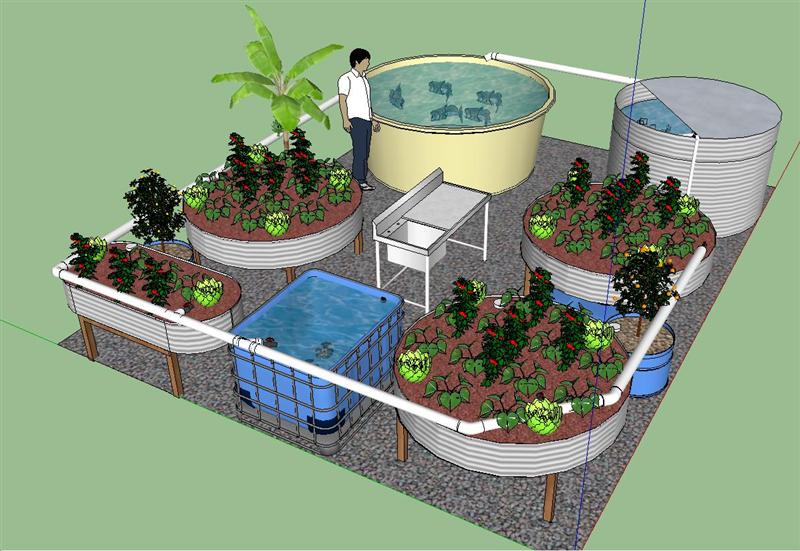 Eastside (Medium).JPG