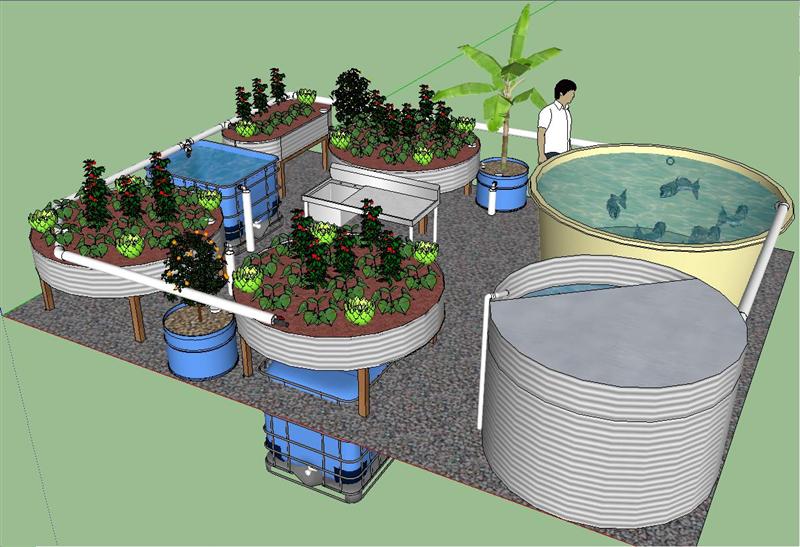 Northside (Medium).JPG