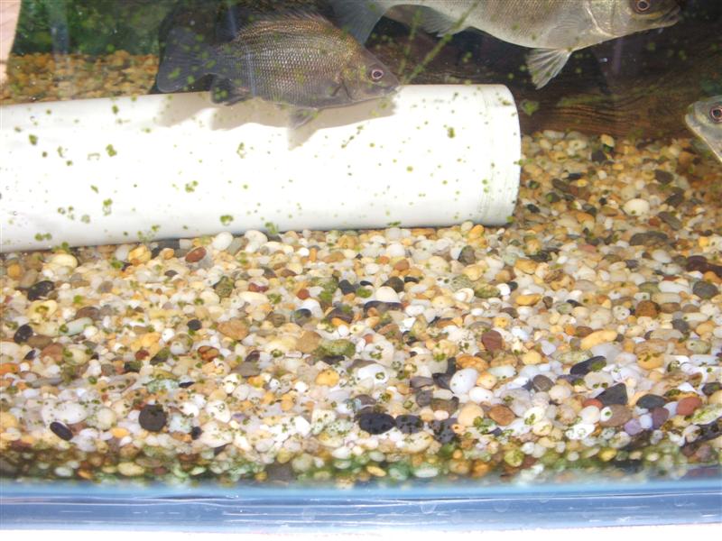 DSCF2563 (Medium).JPG