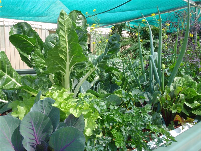 P9010175 (Custom).JPG