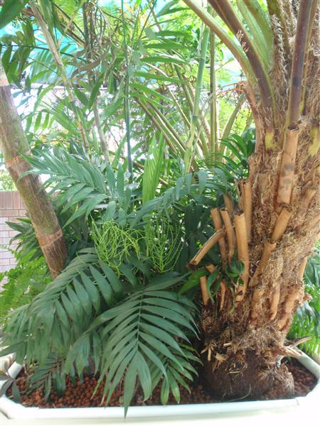 P9010183 (Custom).JPG