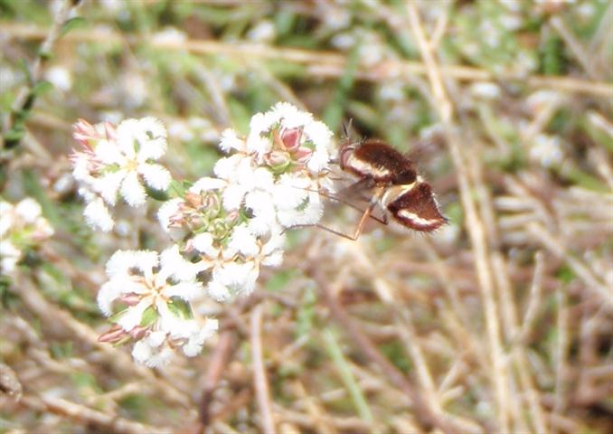 P8270107 (Small).jpg