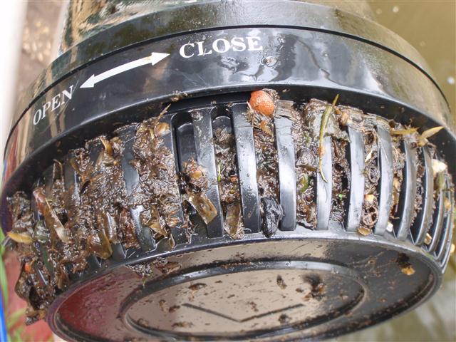 P9030017 (Small).JPG