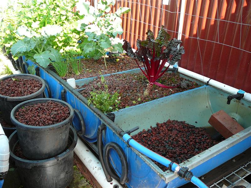 3P1070205 (Custom).JPG