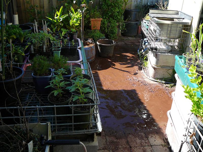 2P1070214 (Custom).JPG