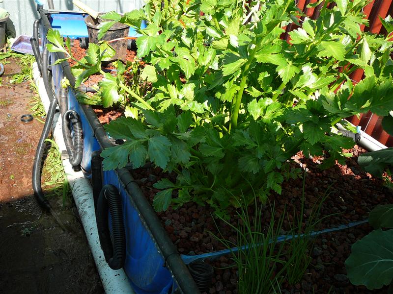 1P1070215 (Custom).JPG