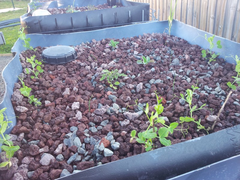 20120904_165601 (Custom).jpg