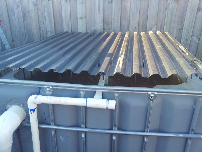 20120904_165624 (Custom).jpg