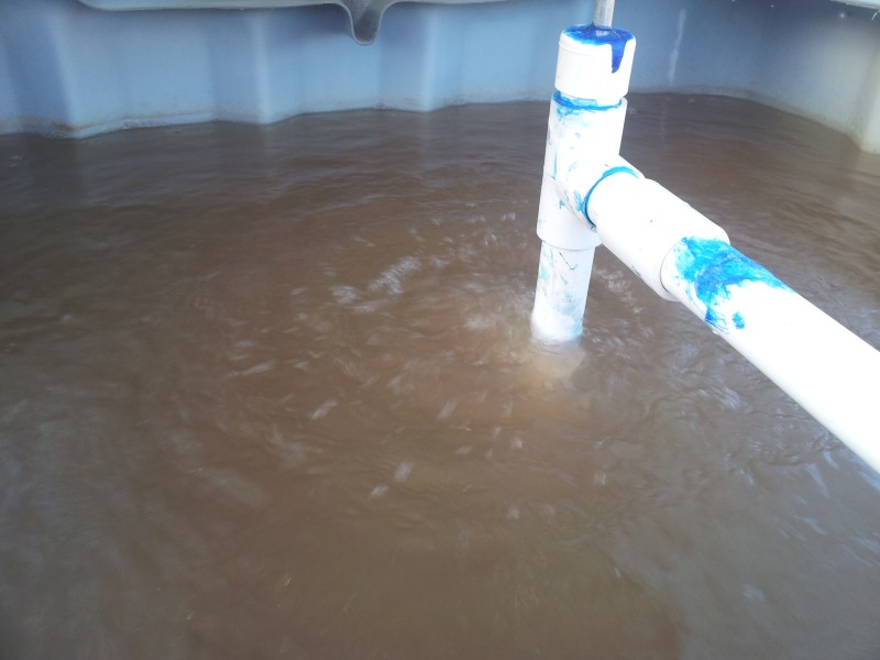 20120904_165642 (Custom).jpg