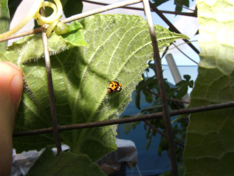 DSCF3849 (Medium).JPG