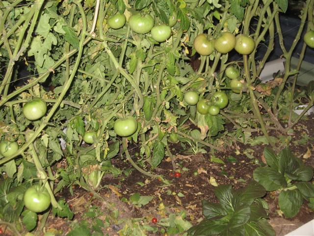 TODAY IS THE DAY 003 (Small).JPG