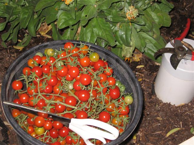 TODAY IS THE DAY 006 (Small).JPG