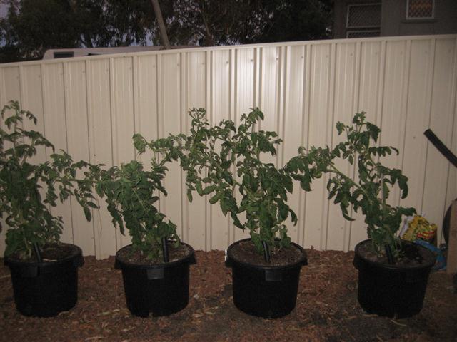 TODAY IS THE DAY 004 (Small).JPG