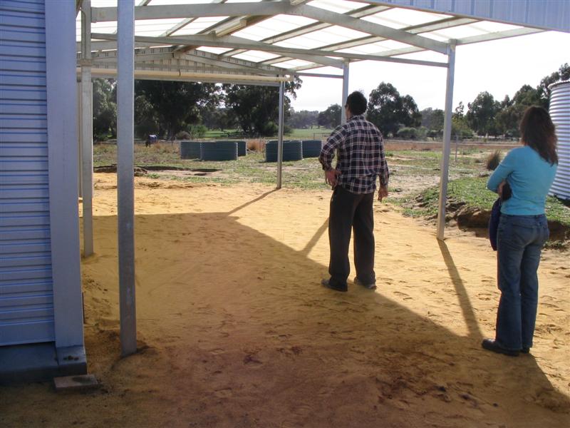 IMG_2269 (Medium).jpg