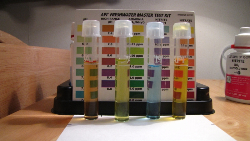 IMG_0035 (800x450).jpg