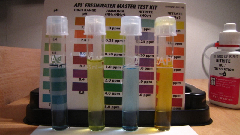 IMG_0034 (800x450).jpg