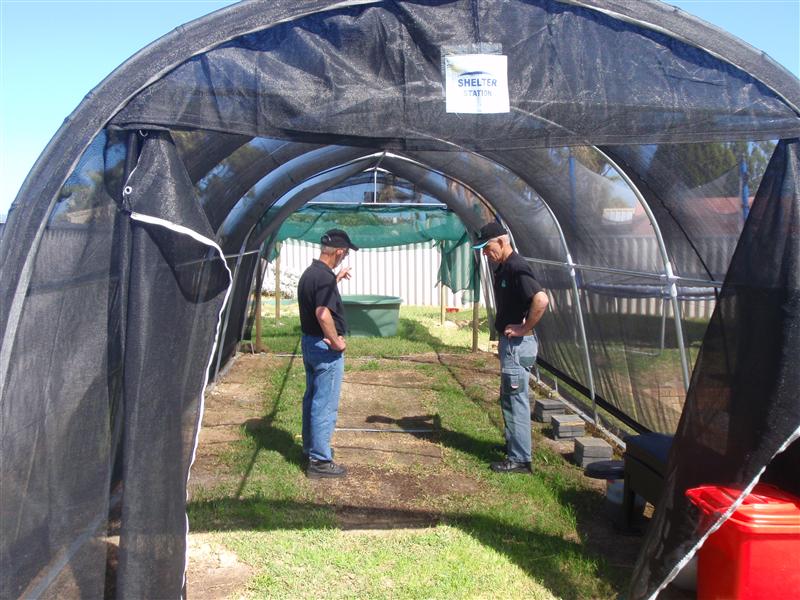 P9060031 (Custom).JPG