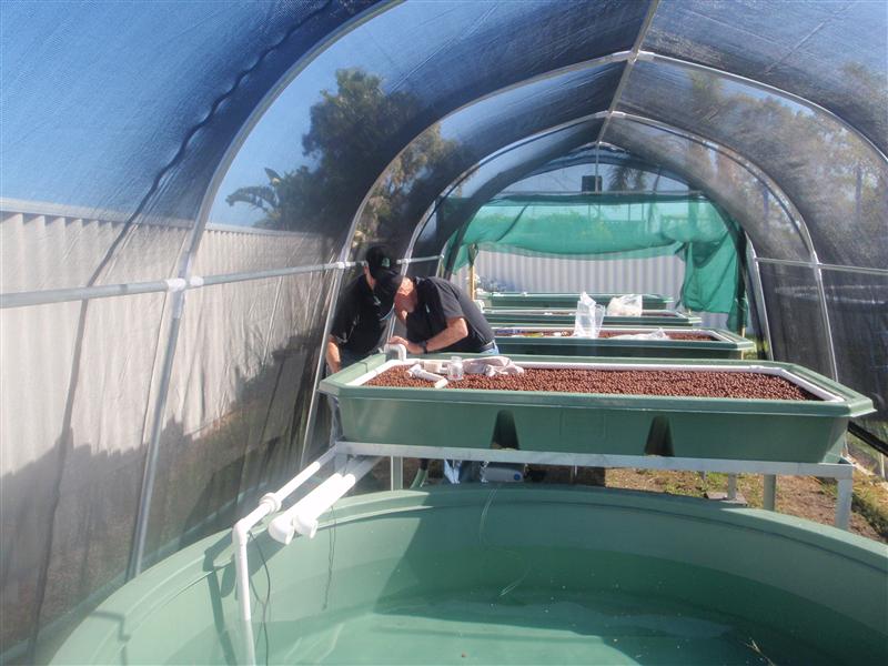 P9070021 (Custom).JPG