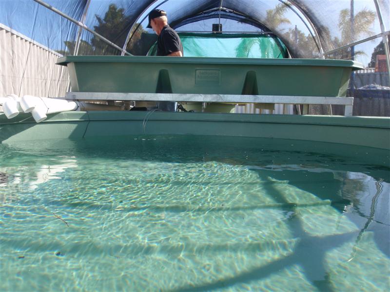 P9070040 (Custom).JPG