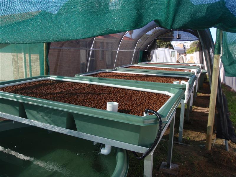 P9070050 (Custom).JPG