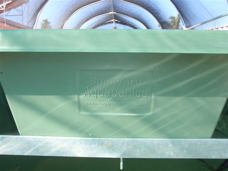 P9070051 (Custom).JPG