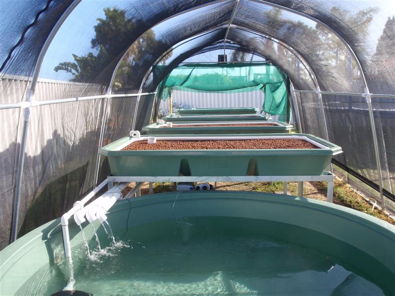 P9070054 (Custom).JPG