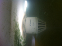 IMG_0947 (250x187).jpg