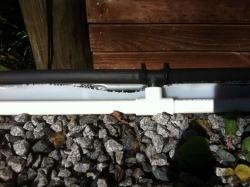 IMG_0952 (250x187).jpg