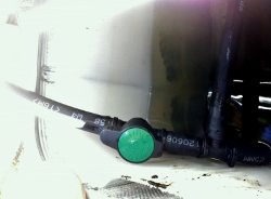 IMG_0950 (250x184).jpg