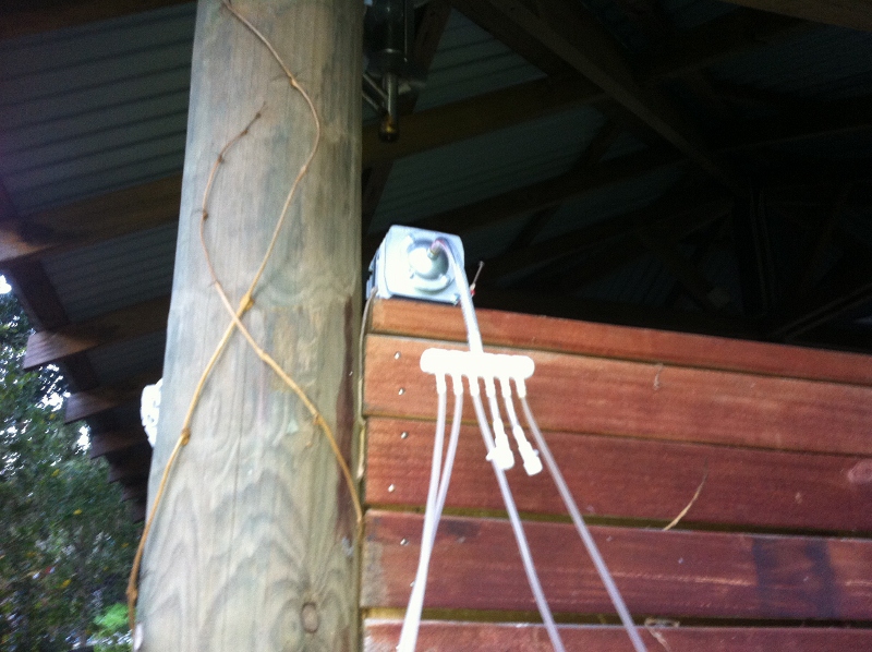 IMG_0915 (800x598).jpg