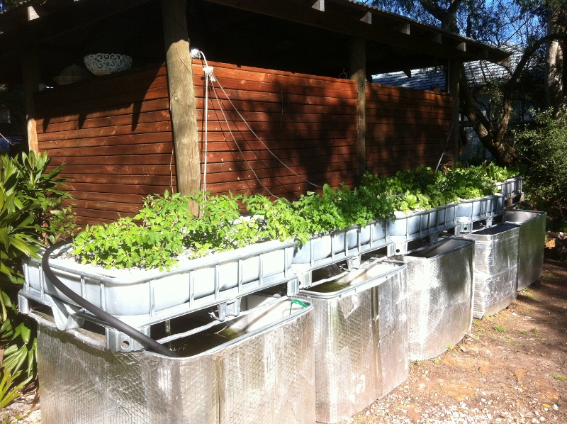 IMG_0953 (800x598).jpg