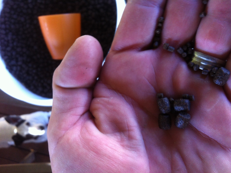 IMG_0955 (800x598).jpg