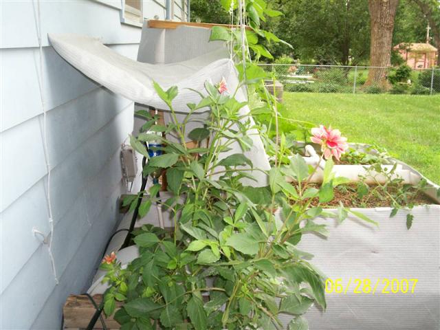 100_0126 (Small).jpg