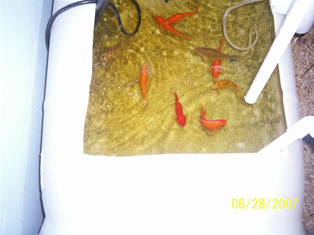 100_0125 (Small).jpg