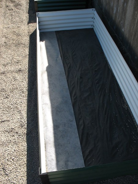 IMG_2055 - CopyS.JPG