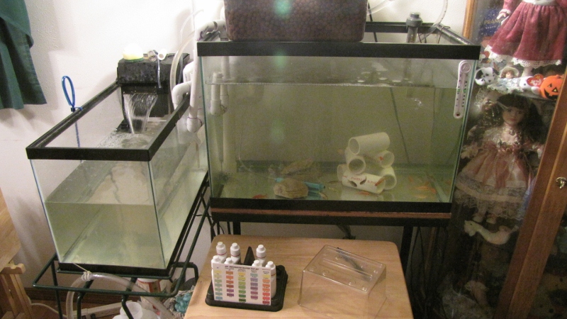 IMG_0122 (800x450).jpg