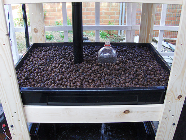 shelfoponics 015.JPG