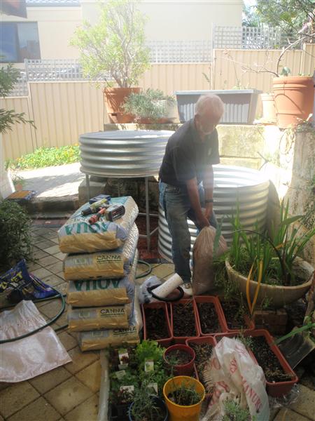 P9100020 (Custom).JPG