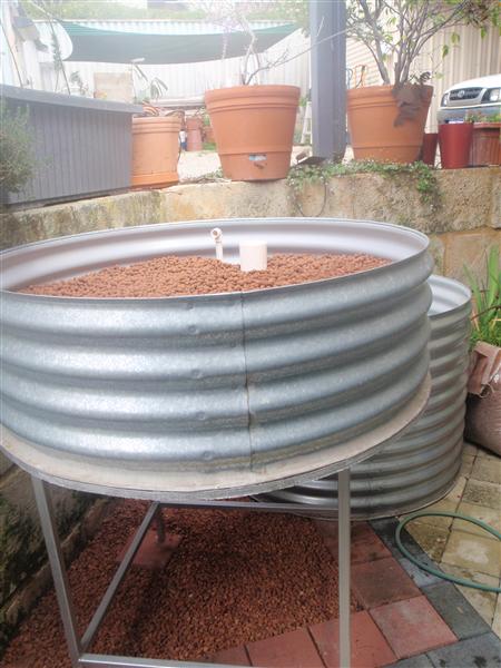 P9100024 (Custom).JPG