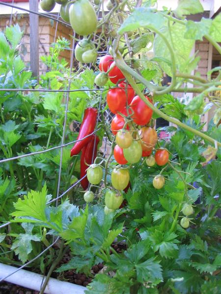 IMG_1811 (Medium).jpg