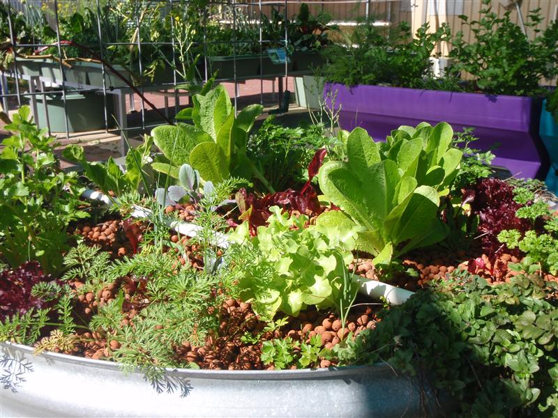 P9130174 (Custom).JPG