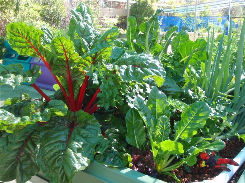 P9130171 (Custom).JPG