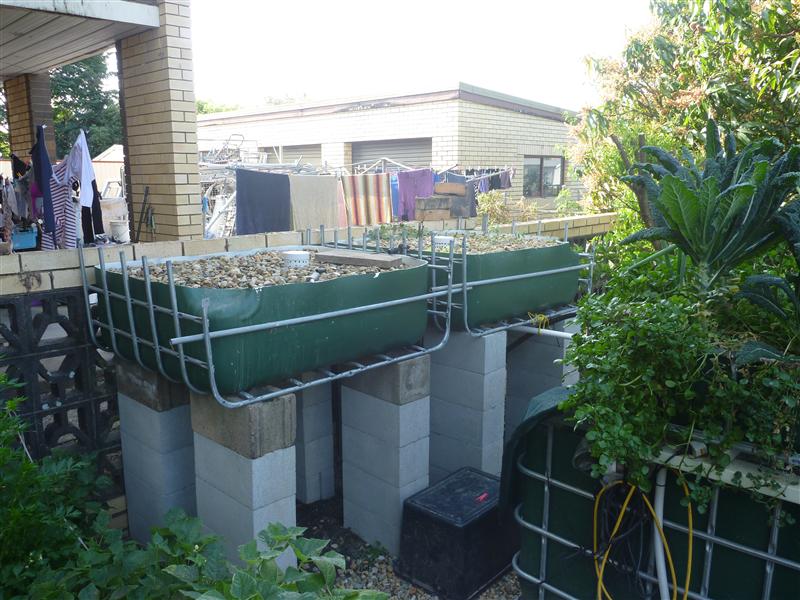 P1060336 (Custom).JPG